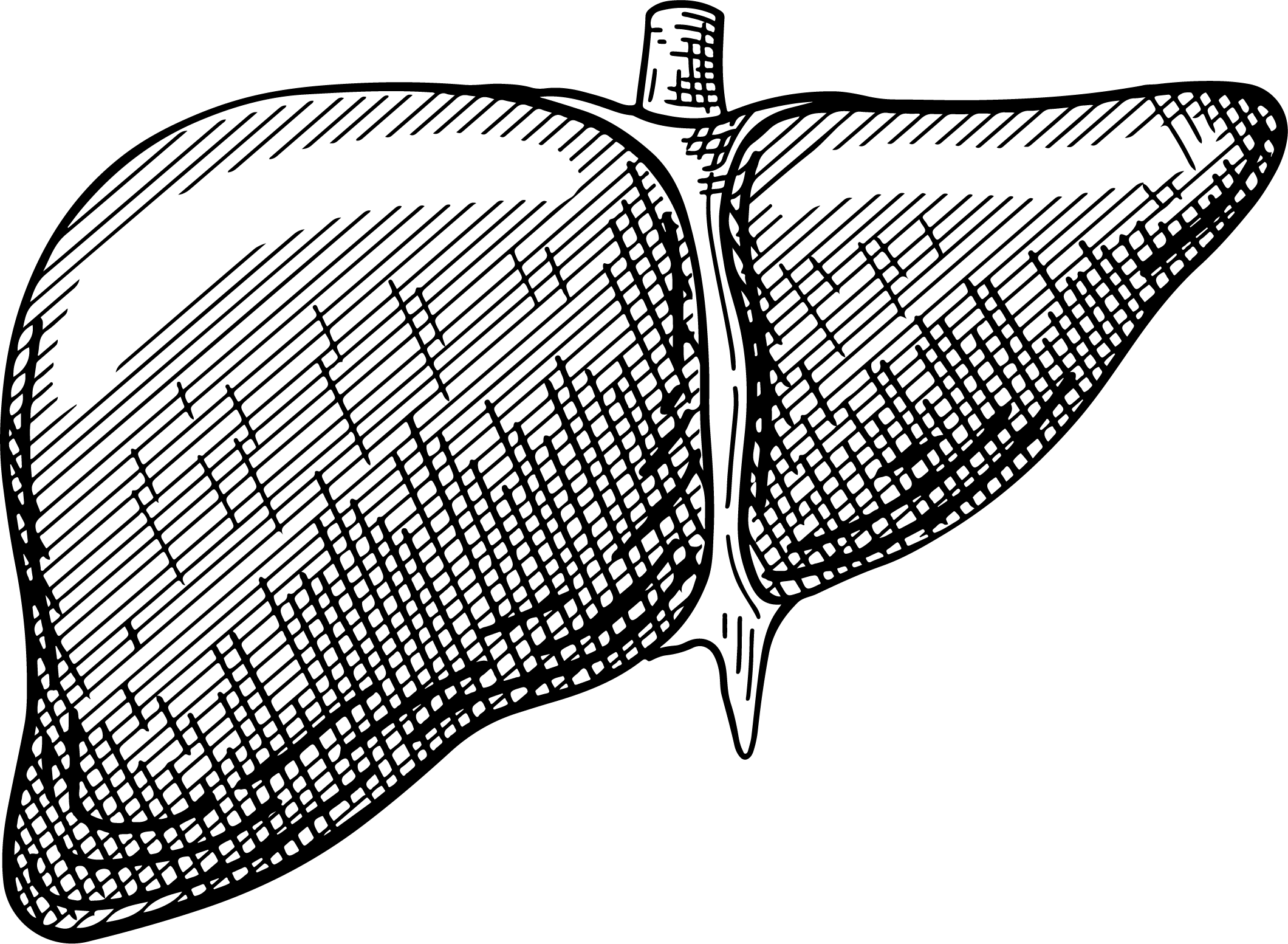 پاکسازی کبد