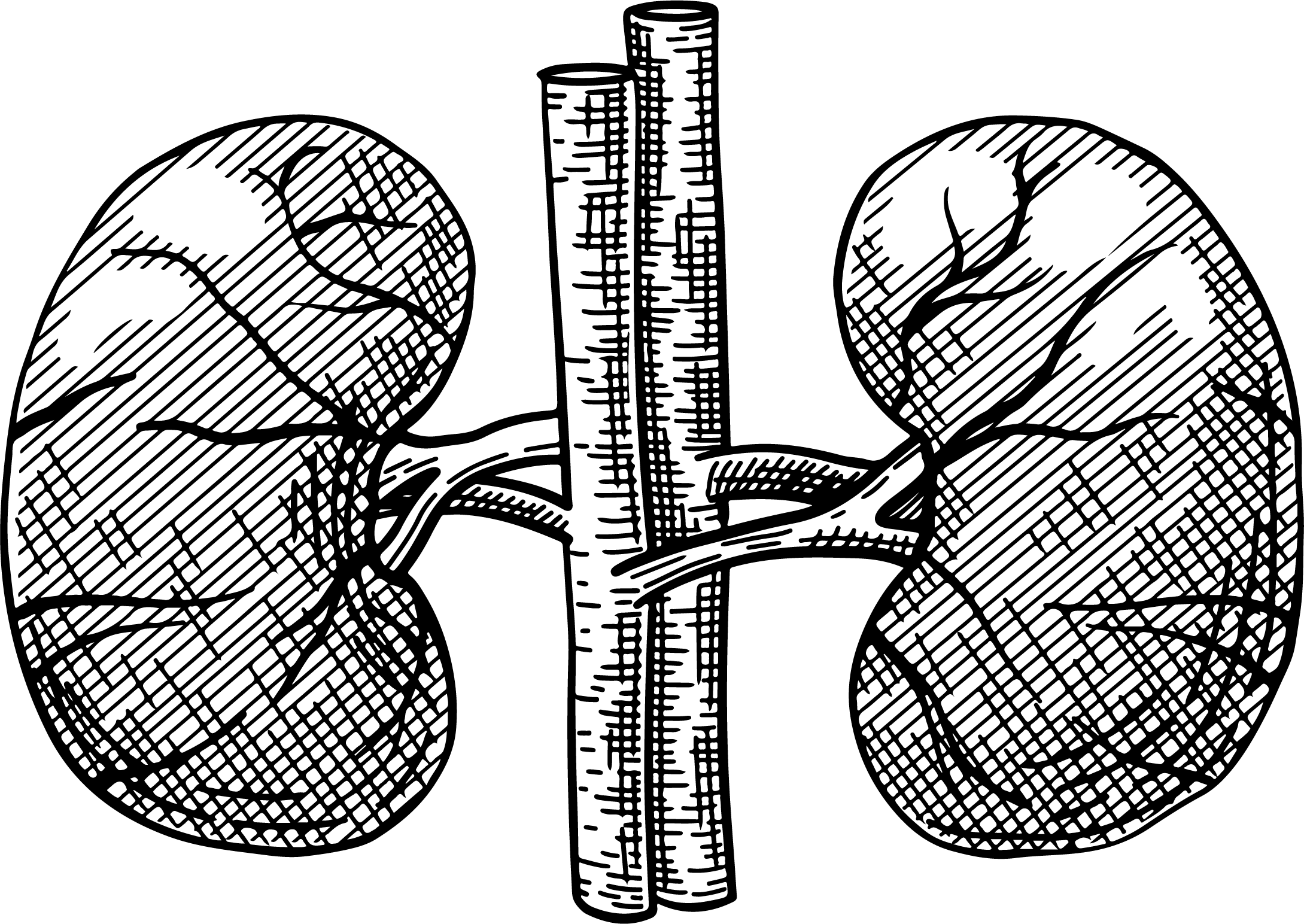 فراطب مارکت-کلیه