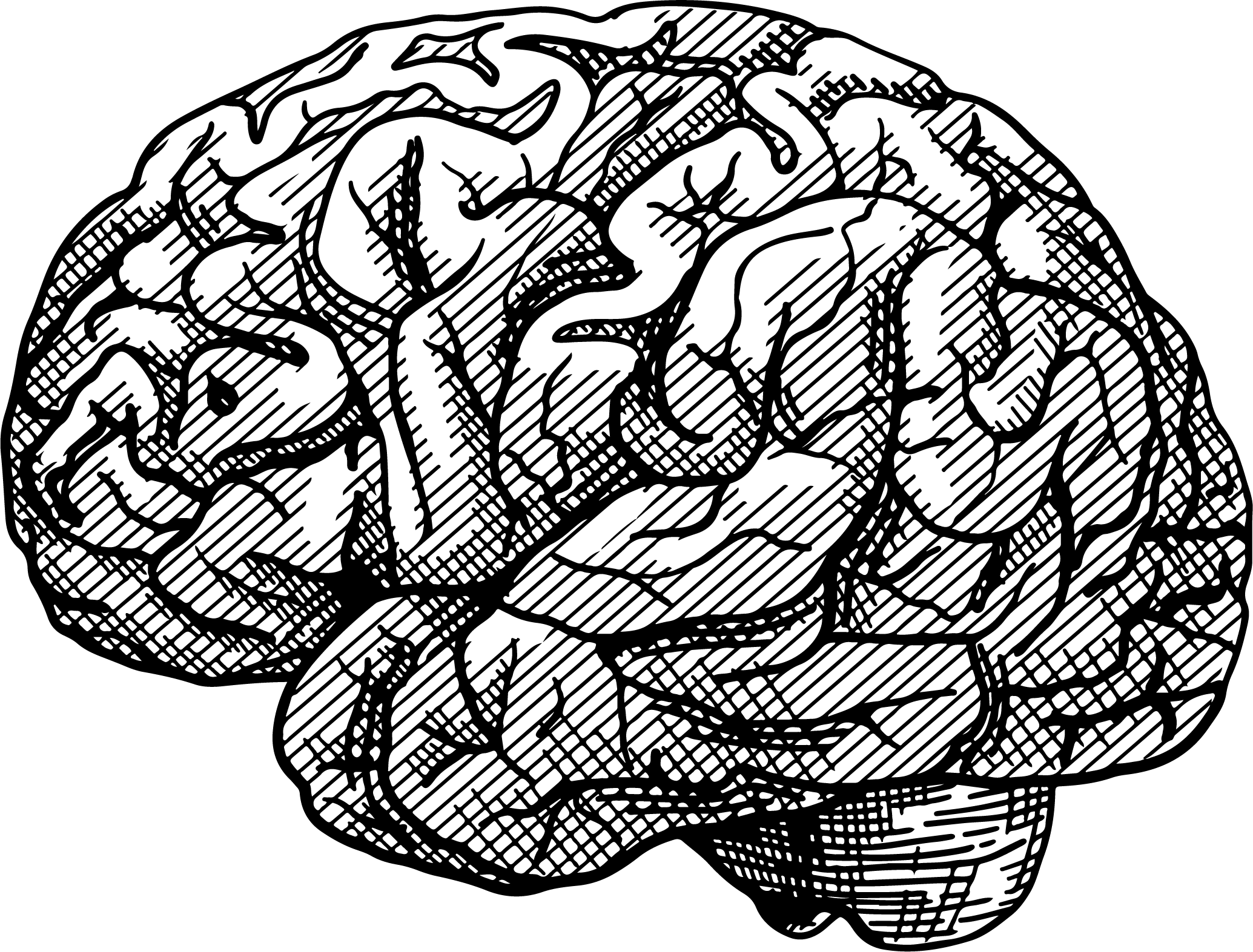 فراطب مارکت-اعصاب و روان