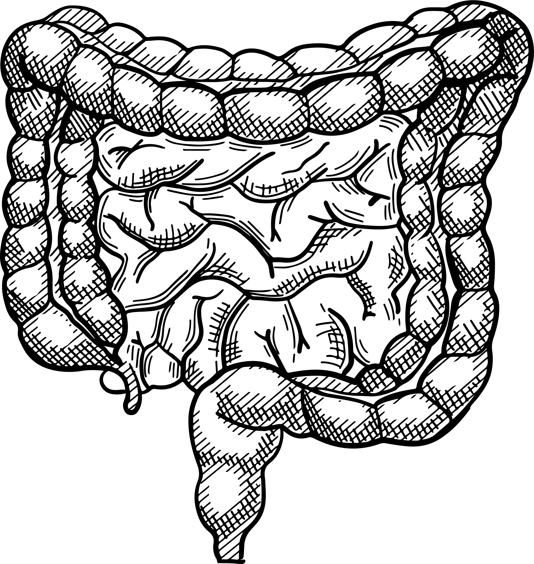 گوارش